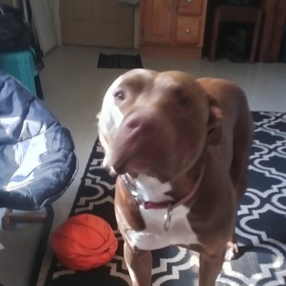 Meet your Posher, Adam - Picture 1 of 1